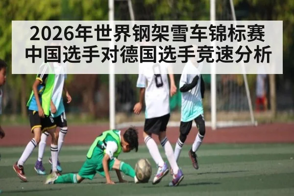 2026年世界钢架雪车锦标赛中国选手对德国选手竞速分析